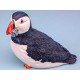 Puffin, 11cm