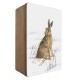 Jennifer Bell Hare in Snow Box, 15x10cm