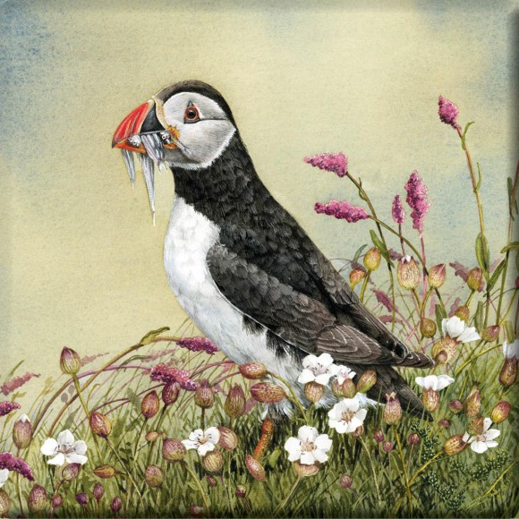 Jennifer Bell Fish Supper (Puffin) Stone Coaster 