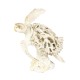 Coral Creatures - Turtle, 26cm